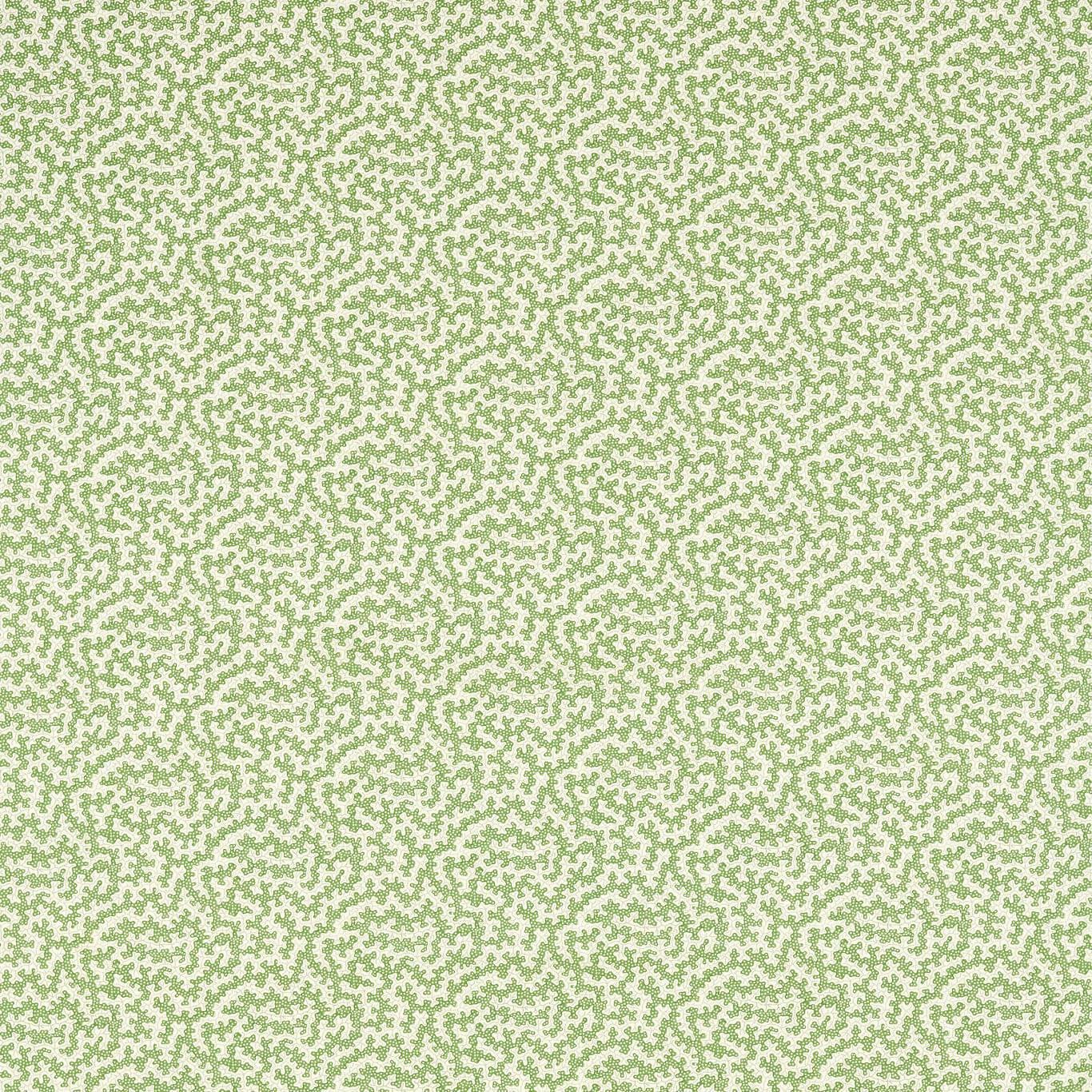 Truffle Fabric - Sap Green - By Sanderson - 227083