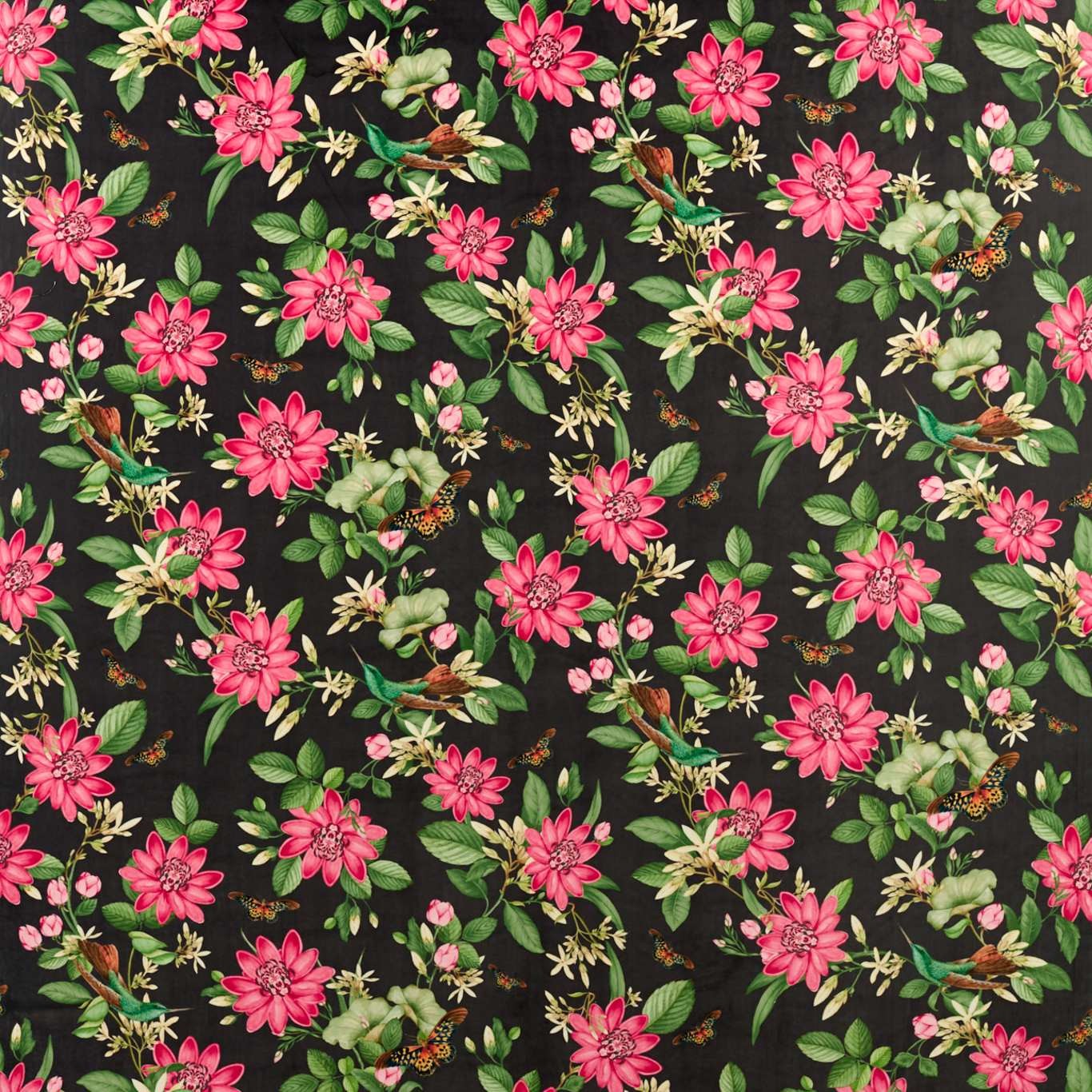 Pink Lotus Fabric - Noir Velvet - By Clarke and Clarke - F1588/02