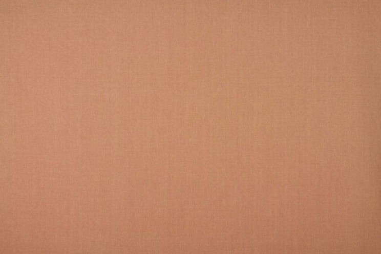 Roller Blinds Ashley Wilde Cole Col Blush Fabric