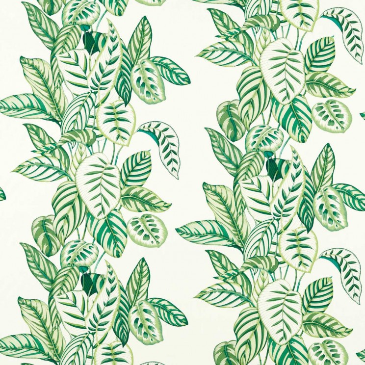 Sanderson Calathea Botanical Green Fabric