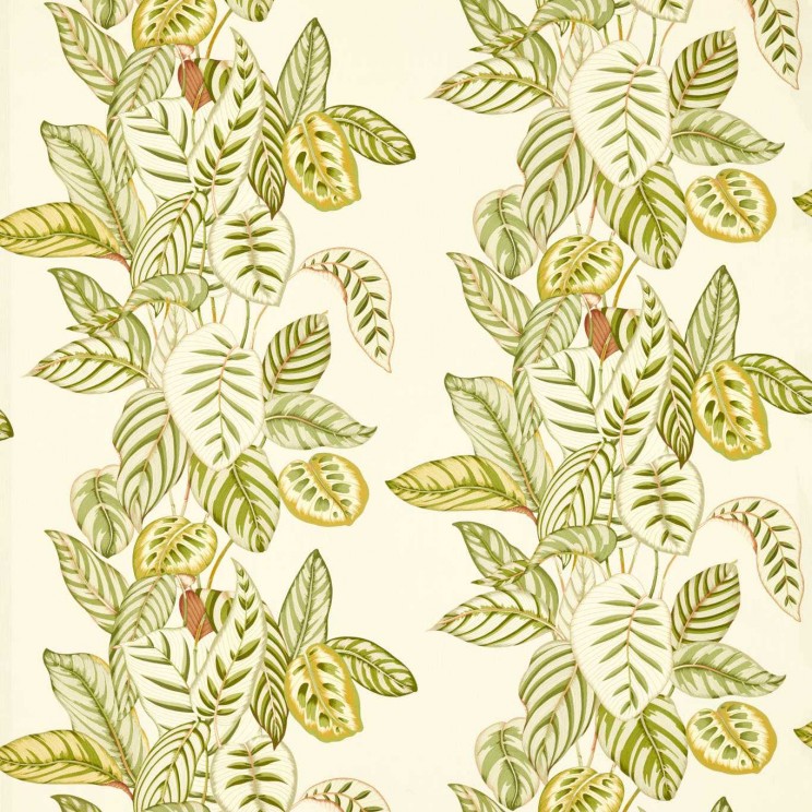 Sanderson Calathea Samphire Fabric