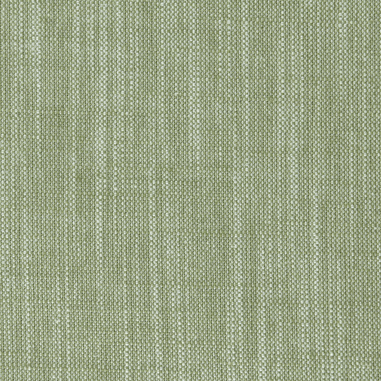 Curtains Clarke and Clarke Biarritz Parsley Fabric F0965/36
