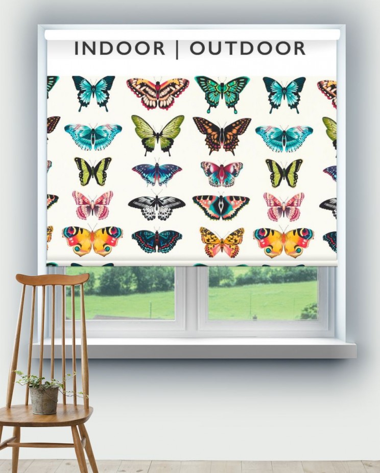 Roller Blinds Harlequin Papilio Fabric 121051