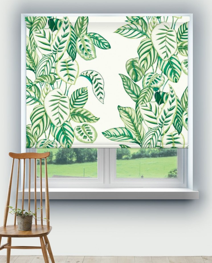 Roller Blinds Sanderson Calathea Fabric 226943