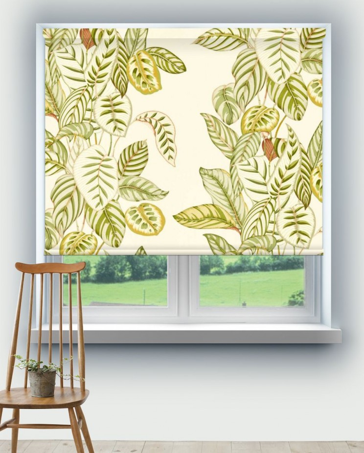 Roller Blinds Sanderson Calathea Fabric 227189