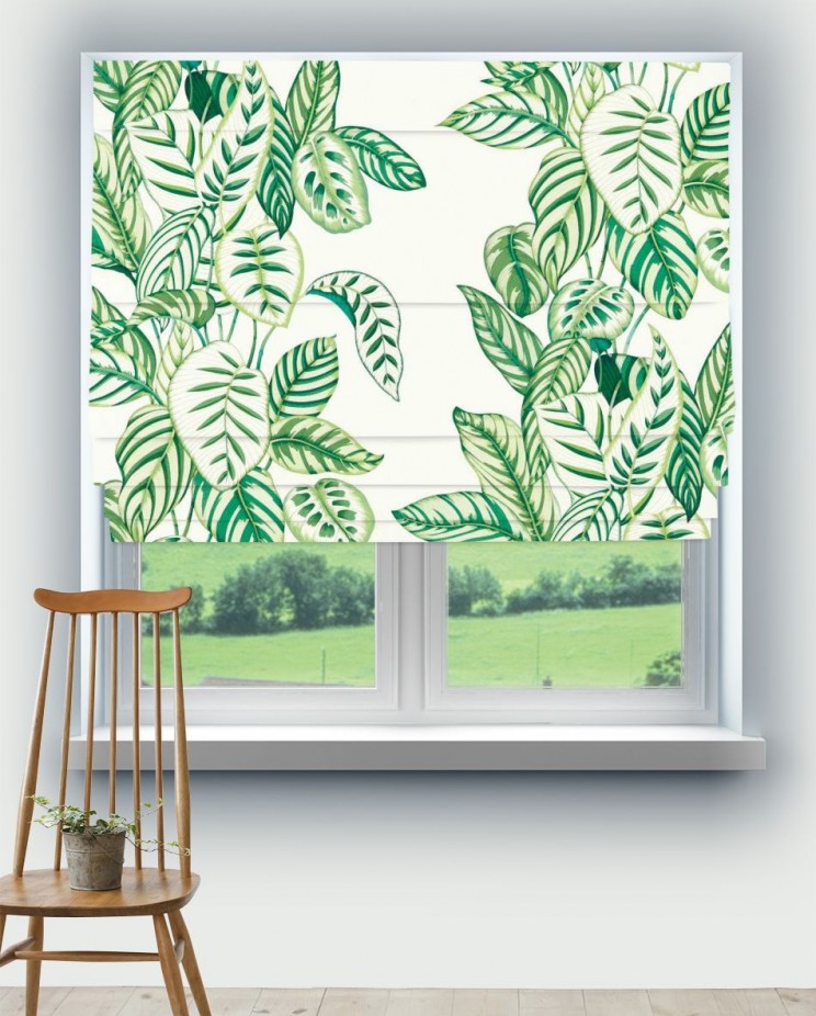 Roman Blinds Sanderson Calathea Fabric 226943