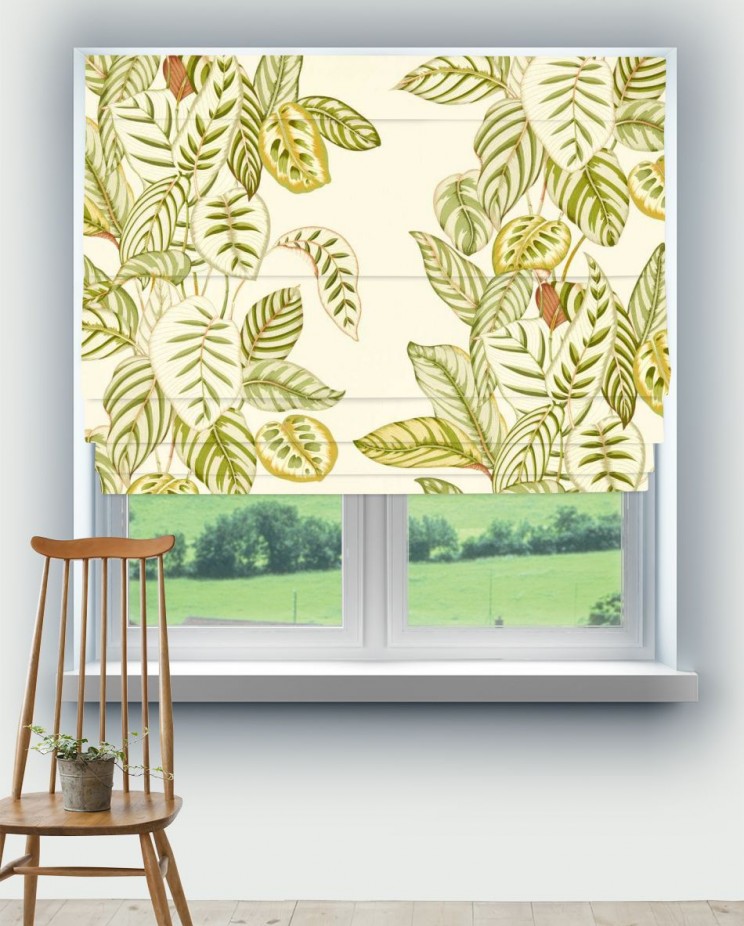 Roman Blinds Sanderson Calathea Fabric 227189