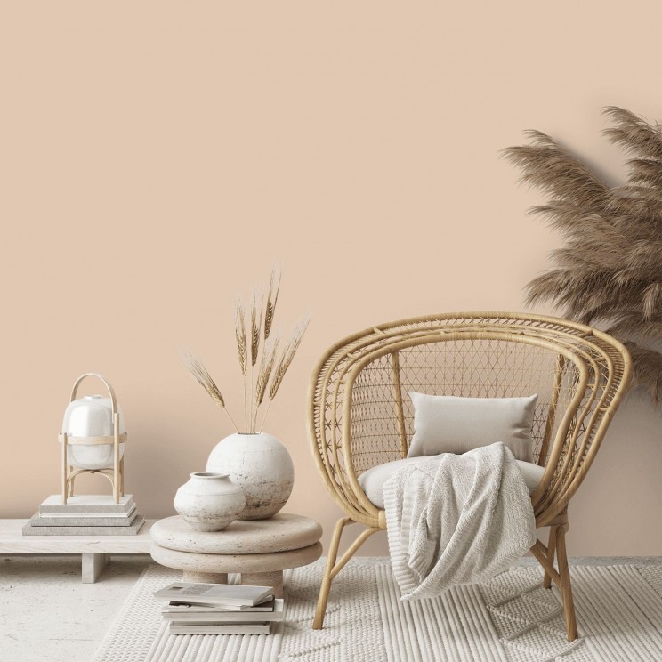 Castell Pink by Little Greene Paint