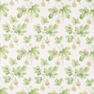 Sanderson Fig Harvest Fabric