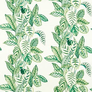 Sanderson Calathea Fabric