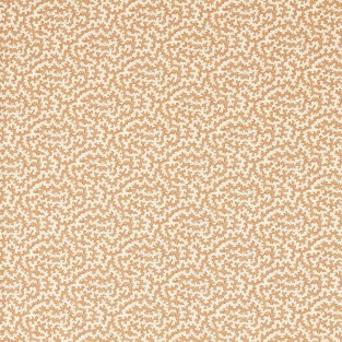 Sanderson Truffle Fabric